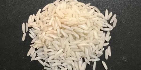 تصویر 5 از قیمت خرید برنج چمپای جنوب + فروش ویژه